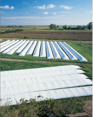 Plastar Grain bags in field